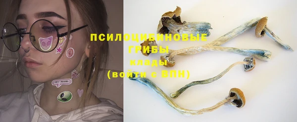 дурь Переславль-Залесский