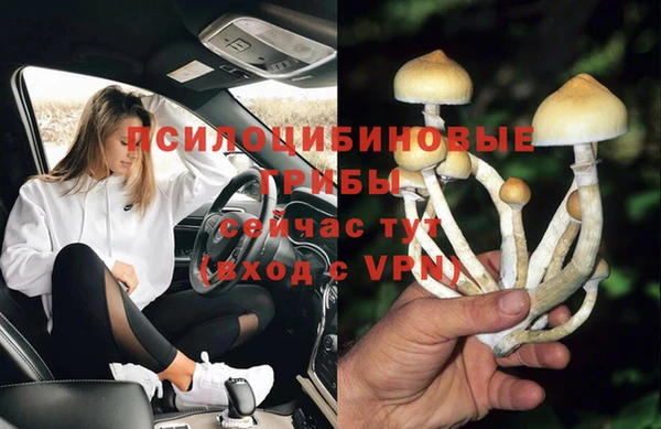 мяу мяу мука Абдулино